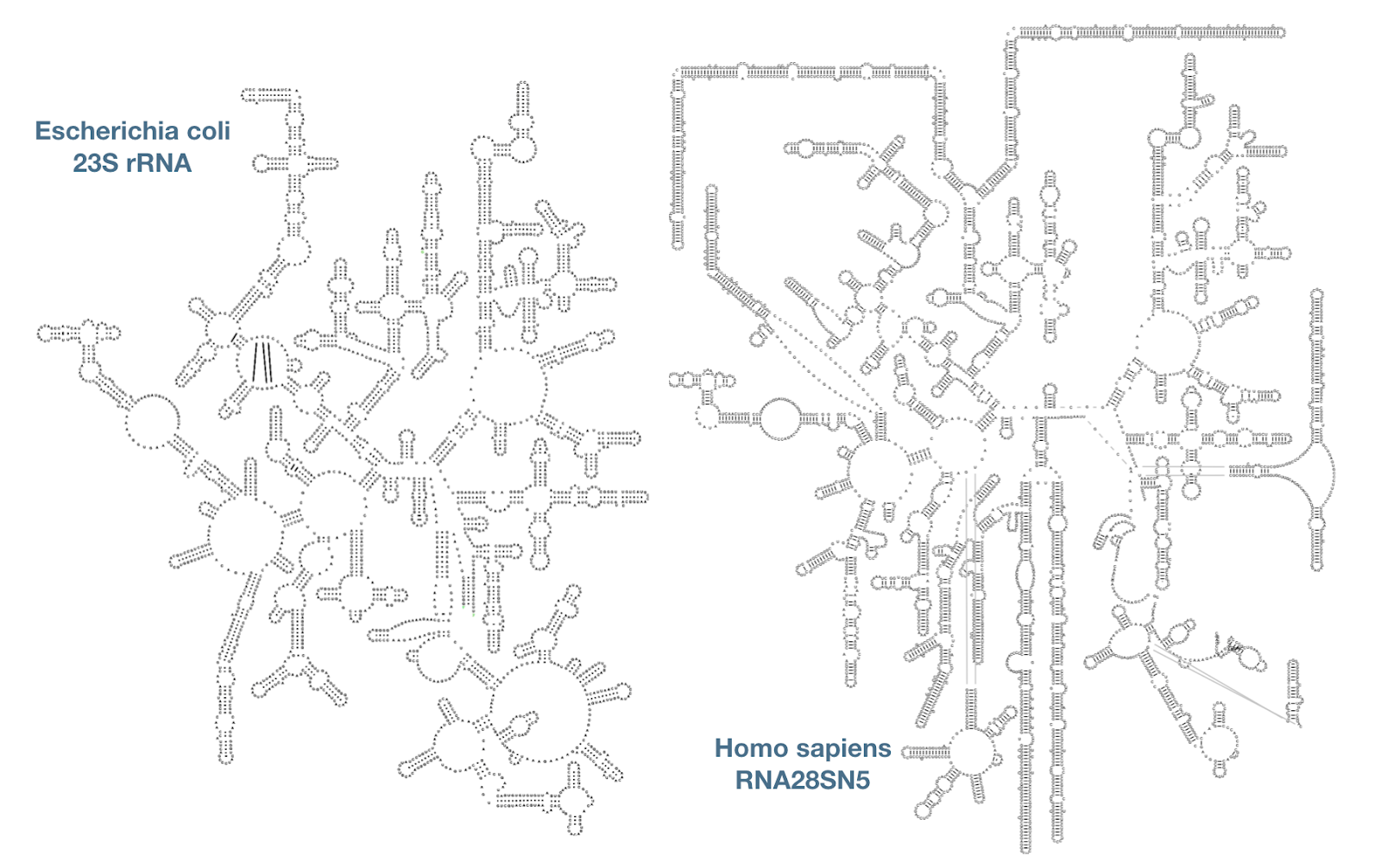 LSU example diagrams